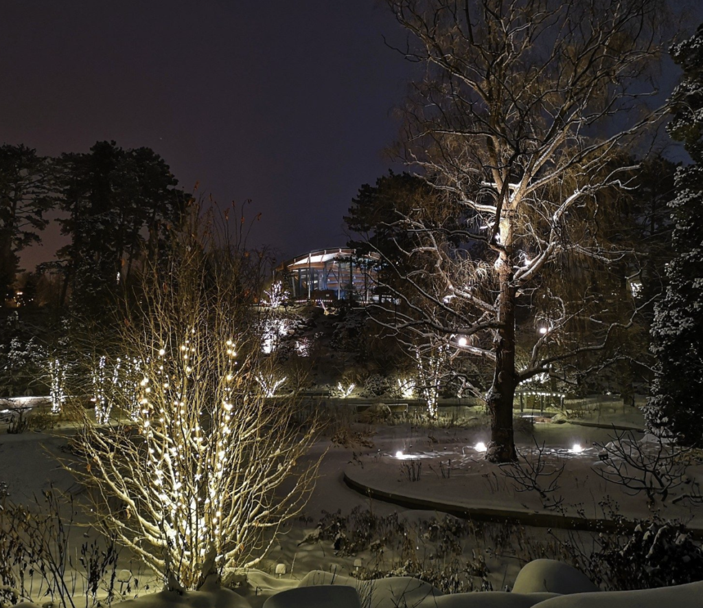 winter scene