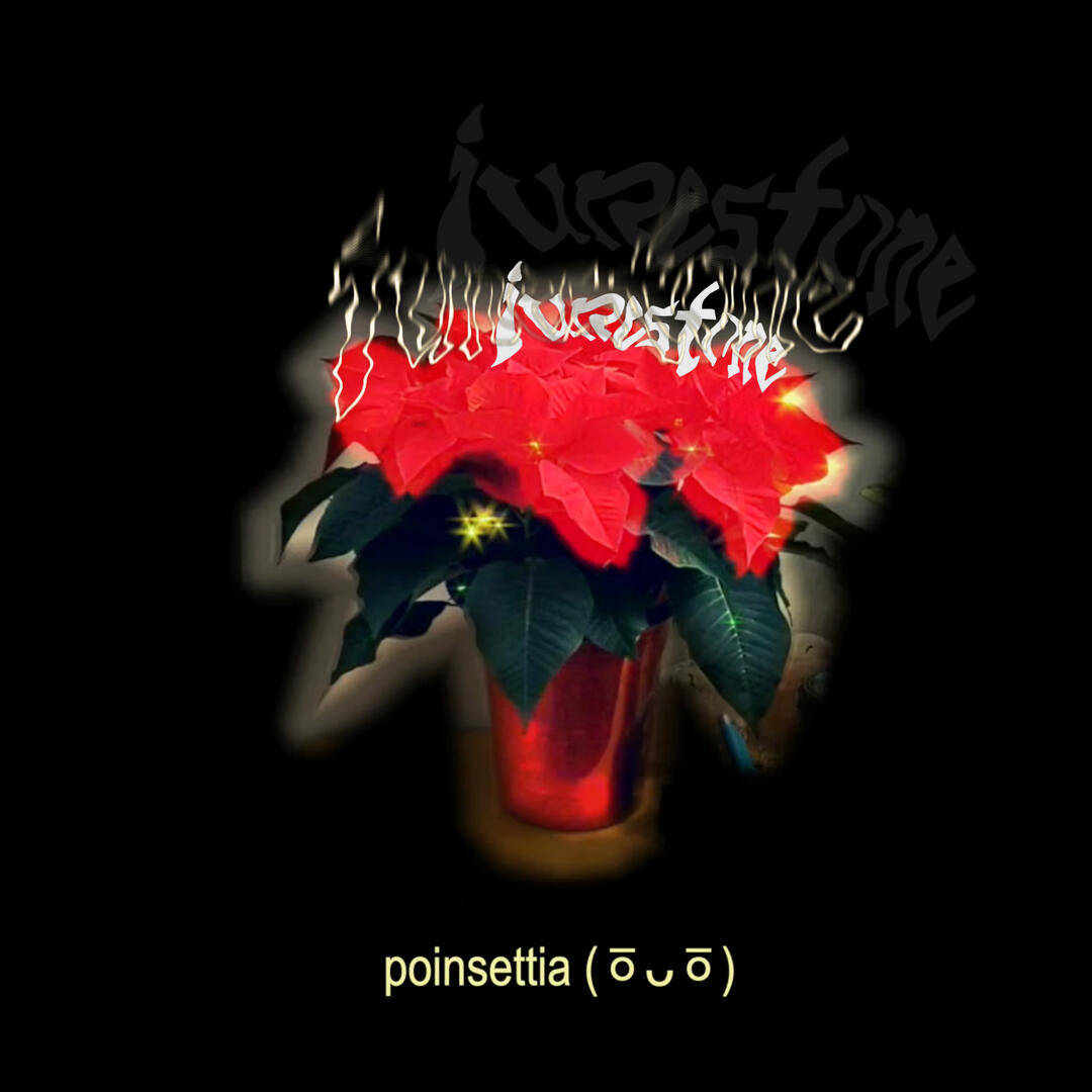 🗯️alt🦋funk